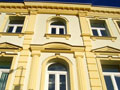 Декоративные архитектурные элементы отделки фасада дома Lear