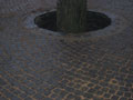 Тротуарная брусчатка CraftStone