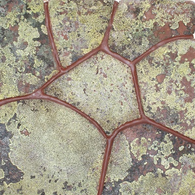 Камоника  Песчаник натуральный камень красный с живым лишайником