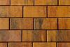 Б.2.П.6 Плита бетонная тротуарная "Прямоугольник" Листопад (гладкий) 100х200 осень 14.04м2/пд