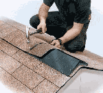 Вентиляция Ridge Master