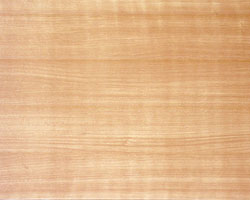 MAPLE MAPLE
