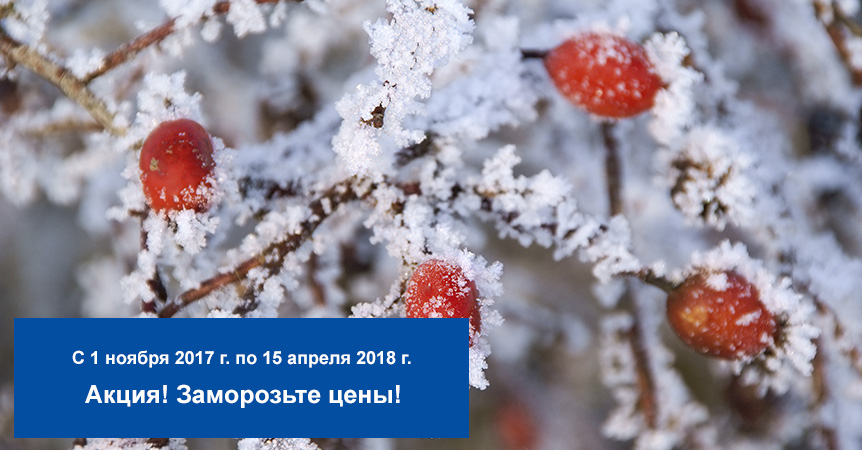 Зимняя акция! Оплати сейчас — вывози весной!
