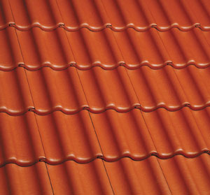 Профиль Янтарь