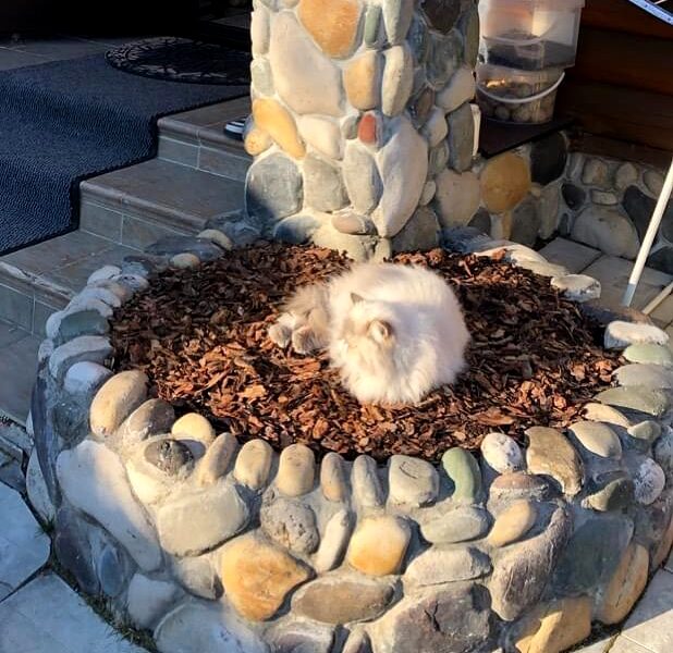Искусственный камень Галечник серый 0.7м2 CraftStone