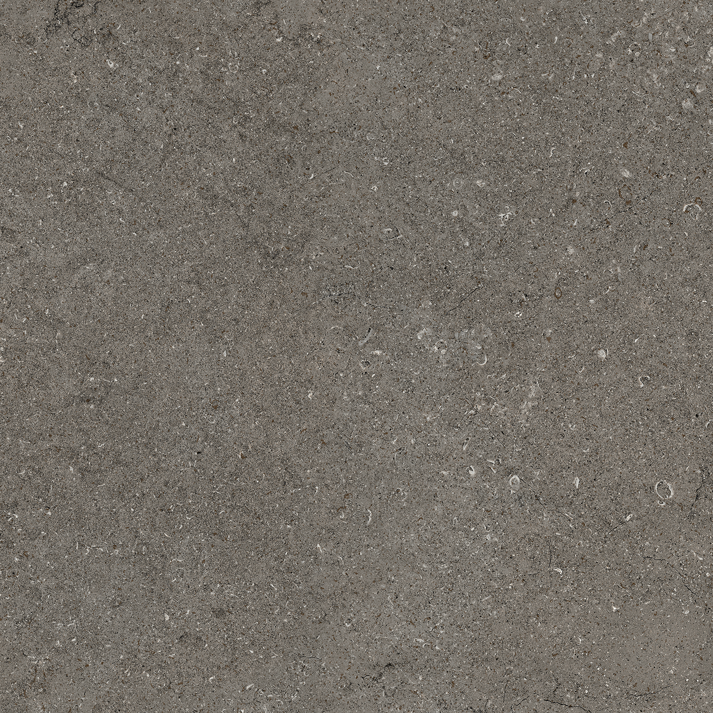 Керамогранит Дискавер Фумэ рет 60x60x0.9см 3шт/1.08м2/уп Италон купить в Санкт-Петербурге