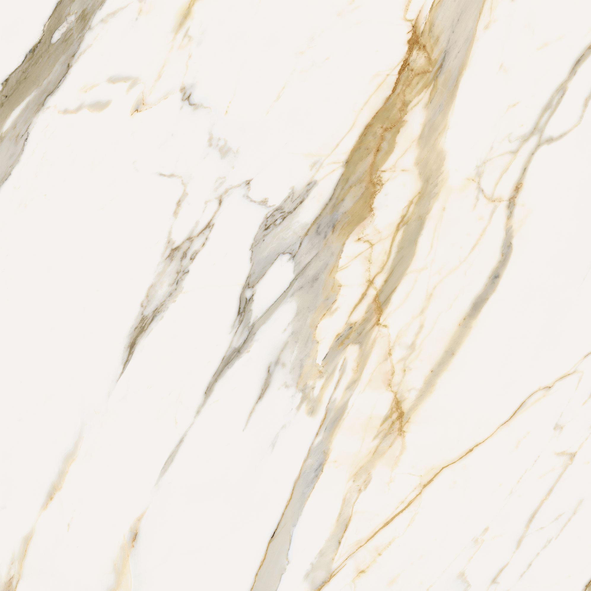 Керамогранит Стелларис Каллаката Голд рет 120x120x0.9см 2шт/2.88м2/уп Италон купить в Санкт-Петербурге