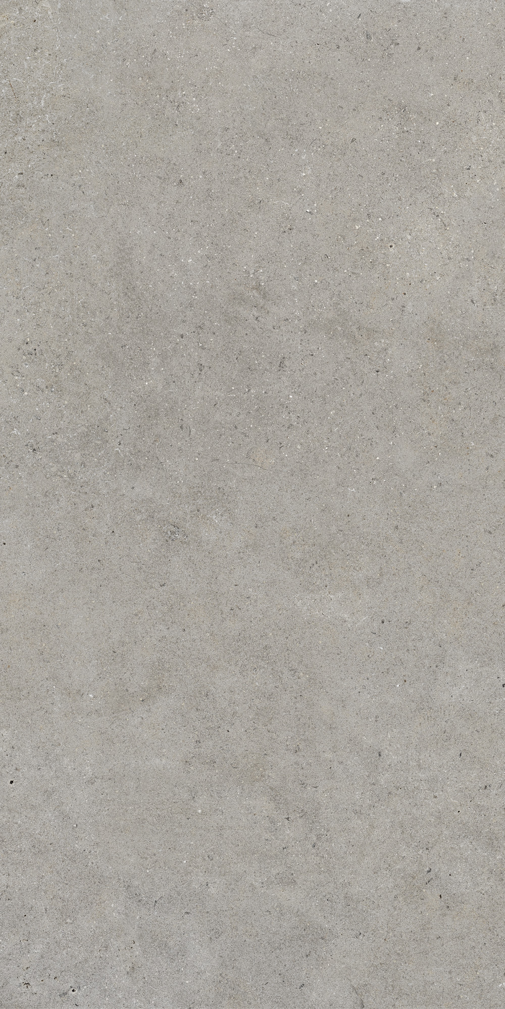 Керамогранит Monochrom 60x120x1см K-2062/MR 2шт/1.44м2/уп Kerranova купить в Санкт-Петербурге