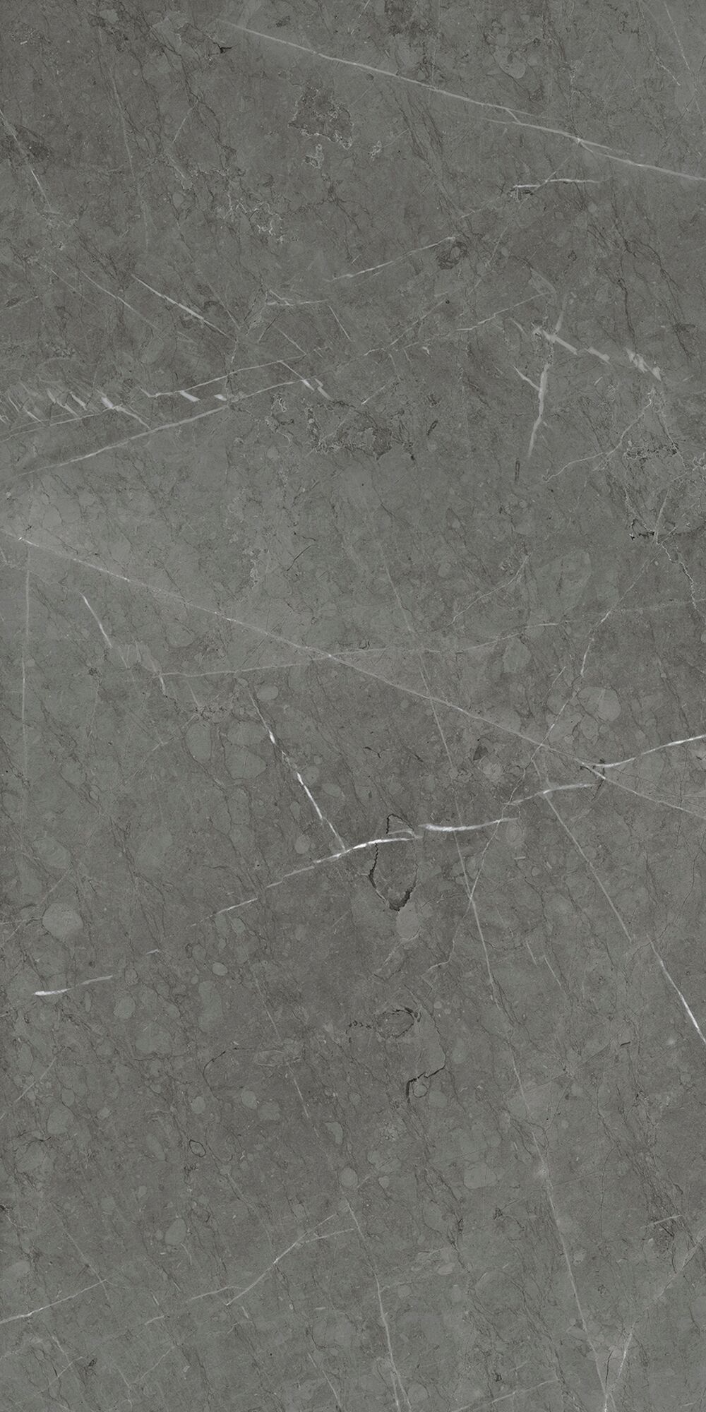 Керамогранит Skala 60x120x1см K-2203/MR 2шт/1.44м2/уп Kerranova, Темно-серый / Dark Gray