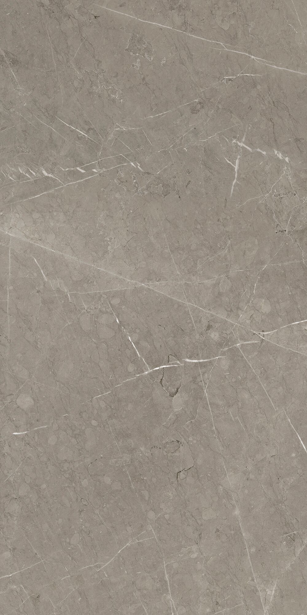 Керамогранит Skala 60x120x1см K-2202/LR 2шт/1.44м2/уп Kerranova, Серый / Gray