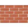 ЛСР Кирпич лицевой пустотелый 1NF утолщ.ст красный F100_Б М-175 рустик 480шт (РКЗ) купить в Санкт-Петербурге