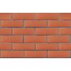 ЛСР Кирпич лицевой пустотелый 1NF утолщ.ст красный F100_Б М-175 рустик 480шт (РКЗ) купить в Санкт-Петербурге