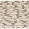 Recke Classic 1-51-00-0-00 Кирпич облицовочный Пестрый 0,7НФ 250х85х65мм 660шт/пд купить в Санкт-Петербурге