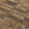 BRAER Тротуарная плитка Прямоугольник ColorMix Каштан 200х100х60мм 12,96м2/пд купить в Санкт-Петербурге