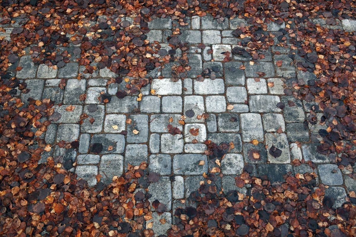 Брусчатка  Классико  Б.4.КО.6 Листопад гладкий антрацит