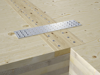 Пластина перфорированная LBV60200 60х200х2мм HOLZTECHNIC/ROTHOBLAAS купить в Санкт-Петербурге