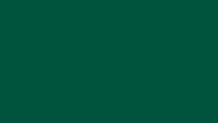темно-зеленый RAL6005