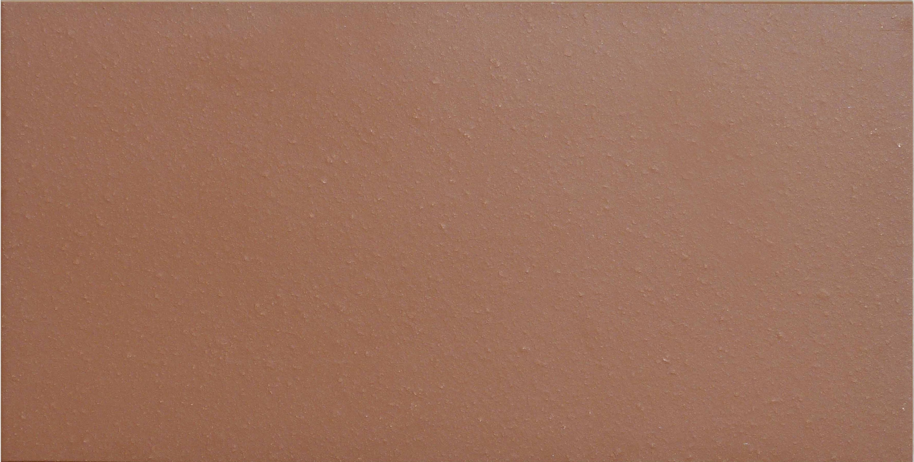 Плитка тротуарная Proyect Rojo Base 12х24.5х1.8 антислип 18шт/упак Exagres