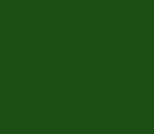 Sale Шатровое окончание пластик Ruukki RR37, зеленый
