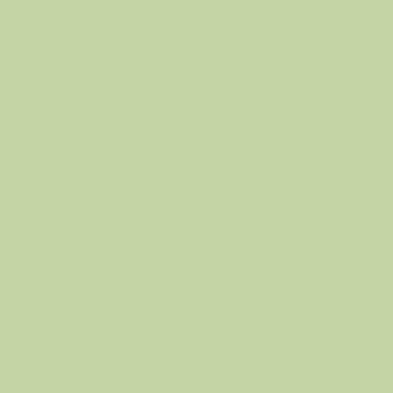 Краска резиновая 14кг готовый NEOMID, светло-зелёный