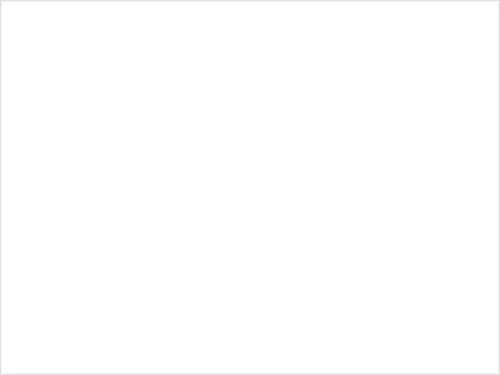 Плоский лист с защитной пленкой 0,45мм РЕ 9003 купить в Санкт-Петербурге