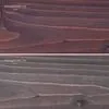 арабика арабика