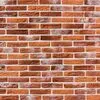 490 (кирпичный) 490 (кирпичный)