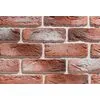 490 (кирпичный) 490 (кирпичный)