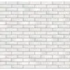 Recke Glanz 1-18-00-0-00 Кирпич облицовочный Белый 0,7НФ 250х85х65мм 660шт/пд купить в Санкт-Петербурге