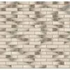 Recke Classic 1-51-00-0-00 Кирпич облицовочный Пестрый 0,7НФ 250х85х65мм 660шт/пд купить в Санкт-Петербурге