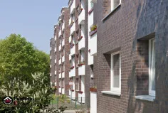 Кирпич клинкерный FeldHaus K561NF 240х115х71мм 416шт/пд купить в Санкт-Петербурге