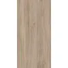 Керамогранит Alleya 60x120x1см K-2103/SR 2шт/1.44м2/уп Kerranova купить в Санкт-Петербурге