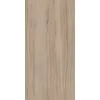 Керамогранит Alleya 60x120x1см K-2103/SR 2шт/1.44м2/уп Kerranova купить в Санкт-Петербурге