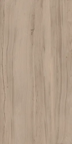 Керамогранит Alleya 60x120x1см K-2103/SR 2шт/1.44м2/уп Kerranova купить в Санкт-Петербурге